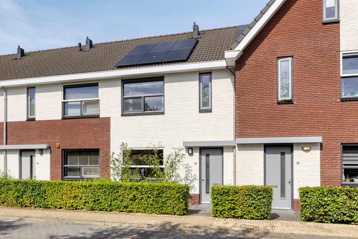 Foto 5 van Eikebladvlinder 59