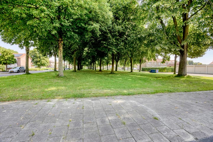 Photo 36 of De Zuid 17