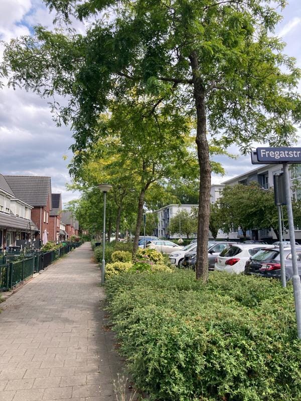 Foto 14 van Kotterstraat 49