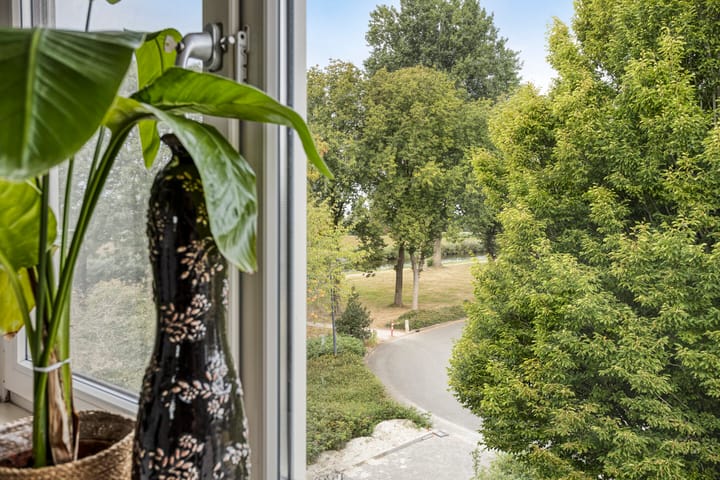 Photo 34 of Zwette 6