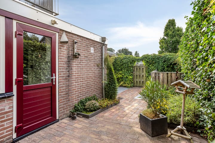 Photo 37 of Zwette 6