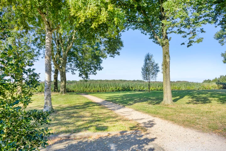 Photo 43 of Zwette 6