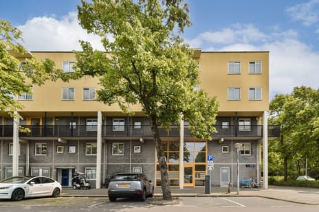 Olof Palmeplein thumbnail