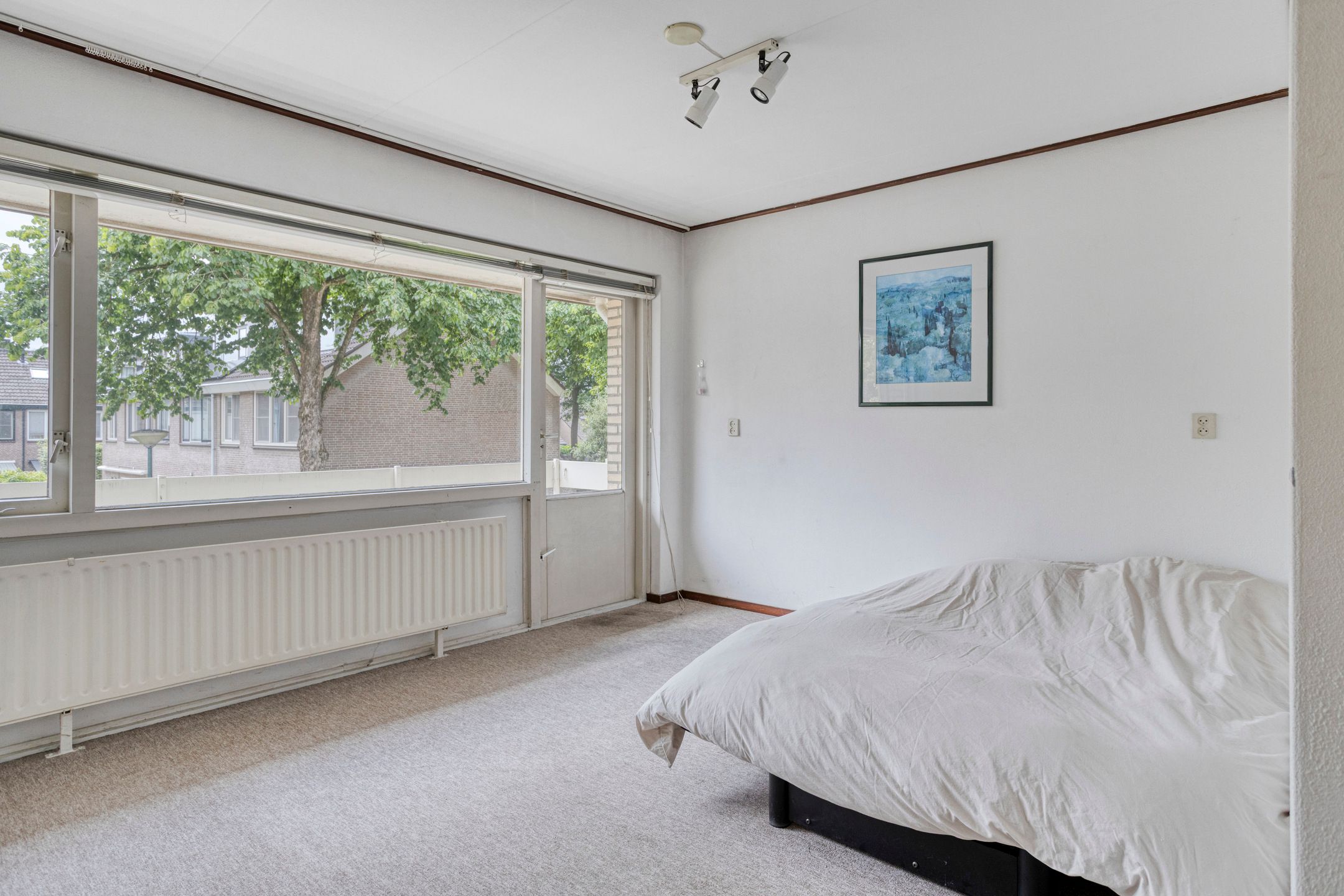 Foto 24 van Andromeda 39