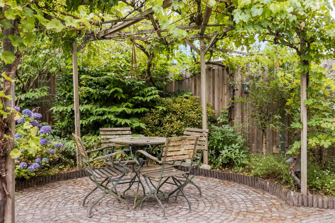 Foto 32 van Andromeda 39