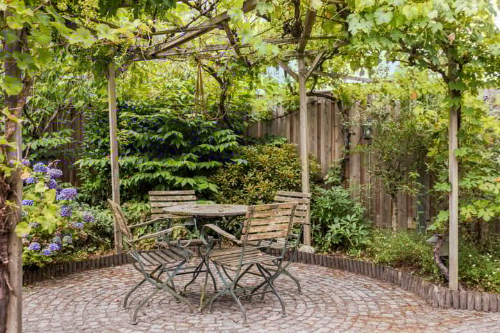 Photo 32 of Andromeda 39