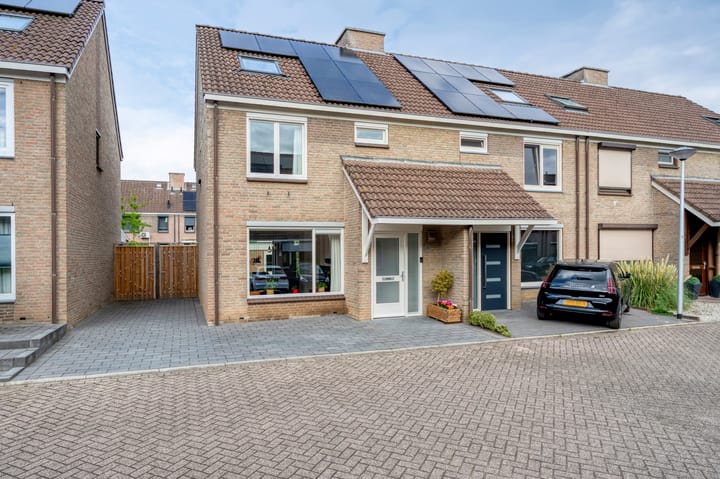 Foto 1 van Van Pallandtstraat 20