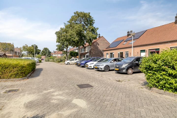 Foto 4 van Mantelschelp 29