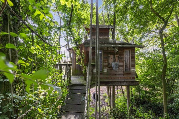 Photo 54 of Muggenbeet 6-D