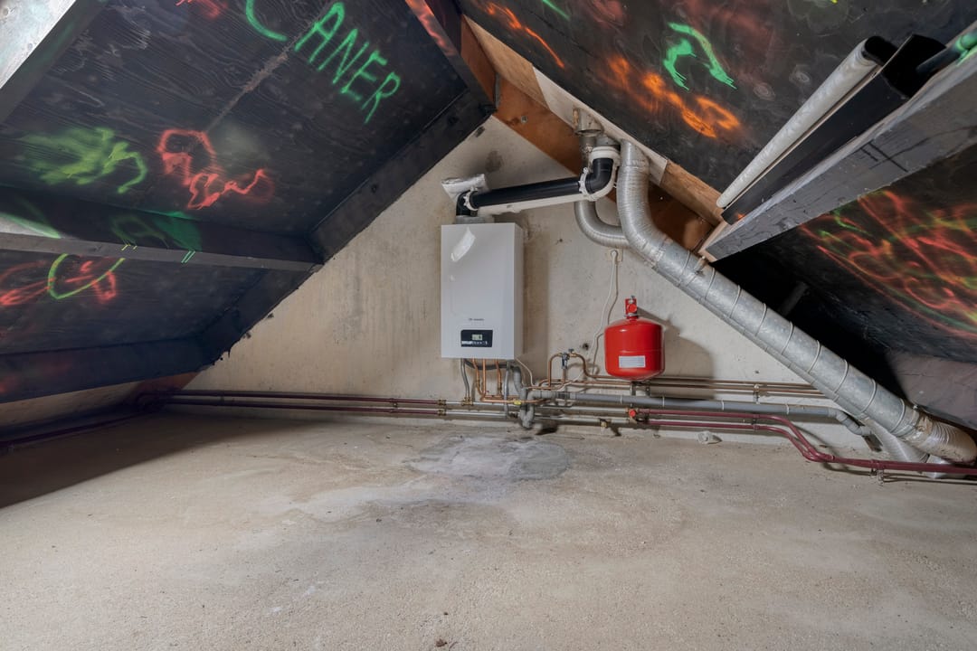 Foto 23 van Mantelschelp 29