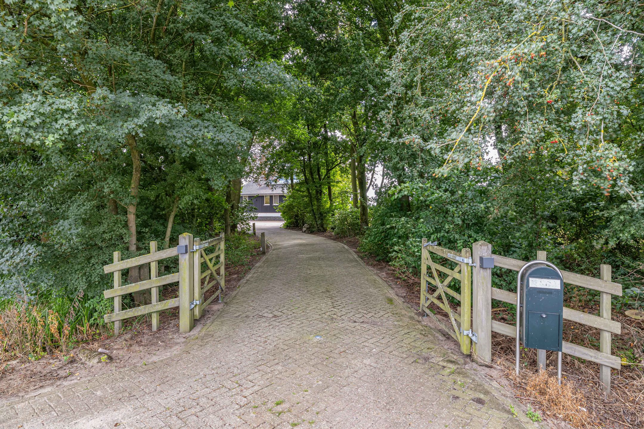 Foto 57 van Muggenbeet 6-D