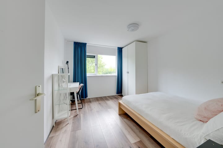 Foto 47 van Abraham de Haanstraat 8