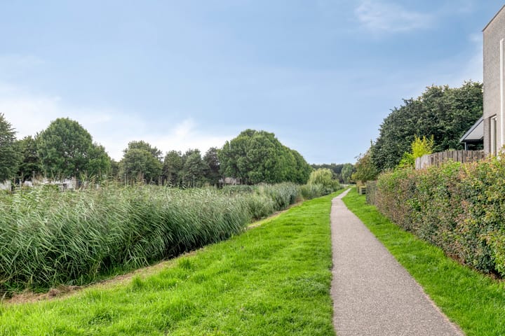 Foto 41 van Tweelingen 21