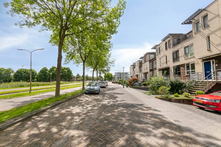 Foto 44 van Tweelingen 21