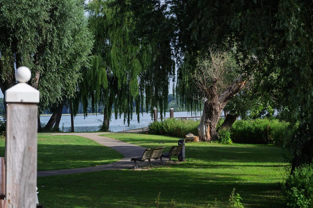 Foto 7 van Kralingse Plaslaan 19