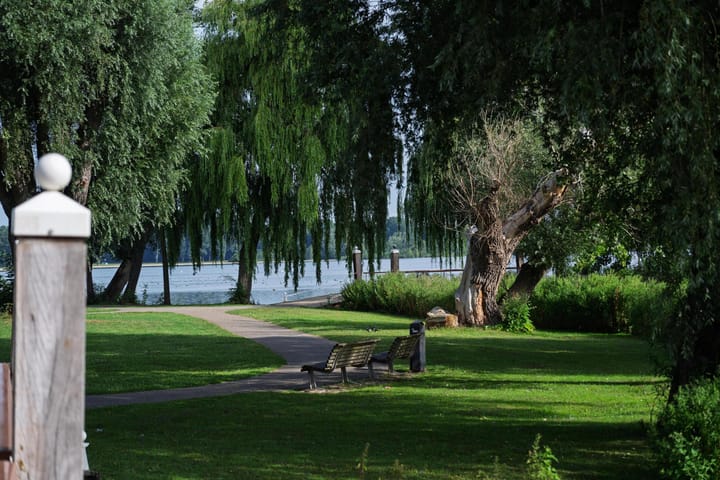 Foto 7 van Kralingse Plaslaan 19