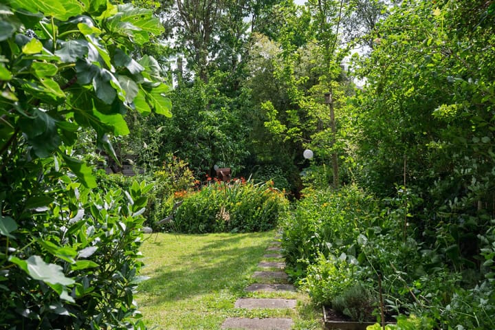 Foto 18 van Kralingse Plaslaan 19