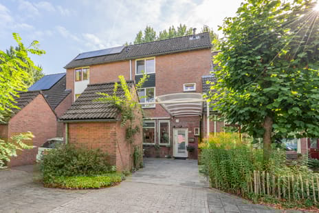 undefined main image