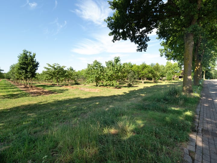 Foto 35 van Vaandelstraat 2