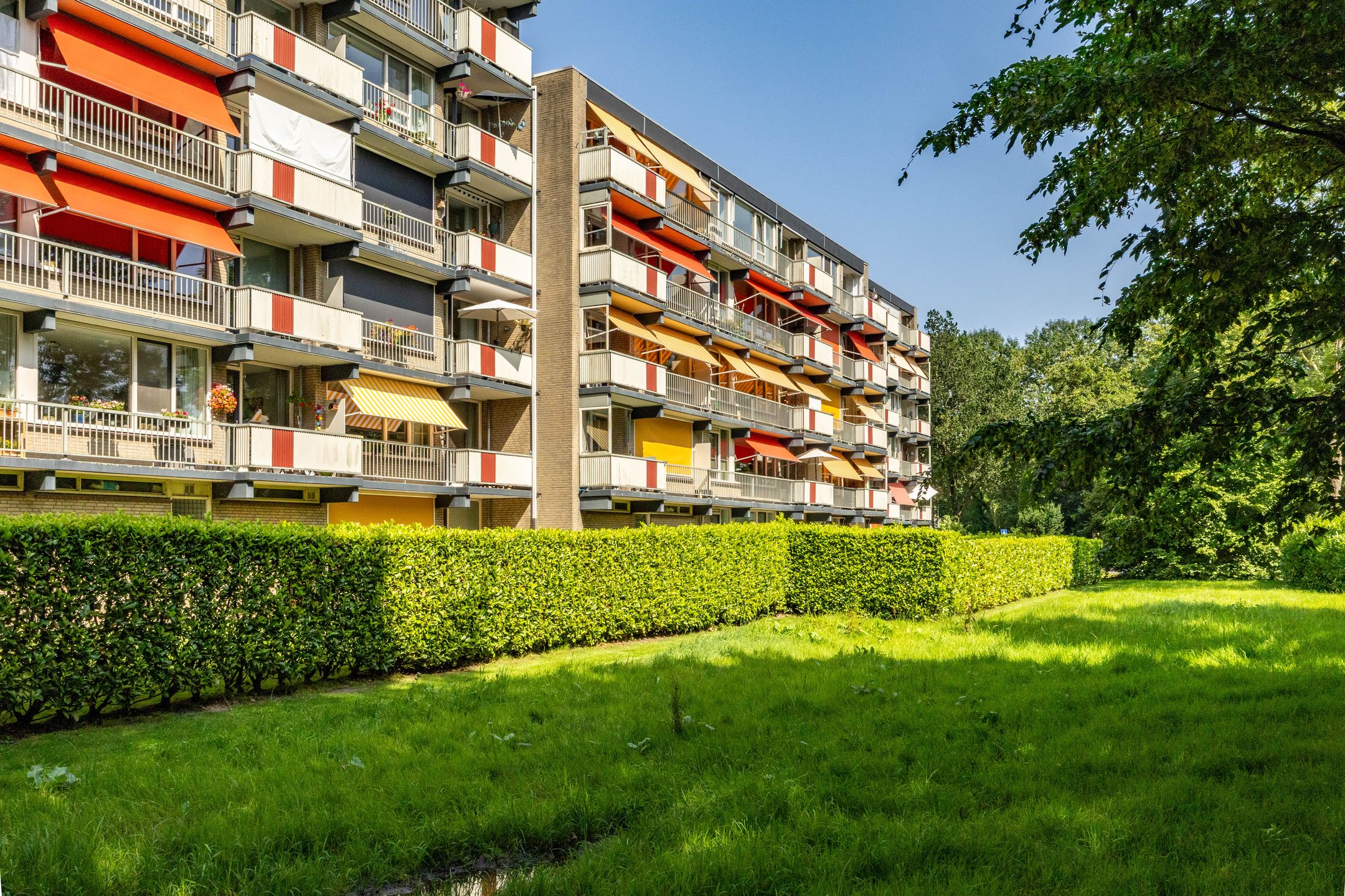 Foto 6 van Maria Dermoutlaan 28