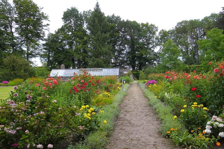 Foto 9 van Damlaan 6-B