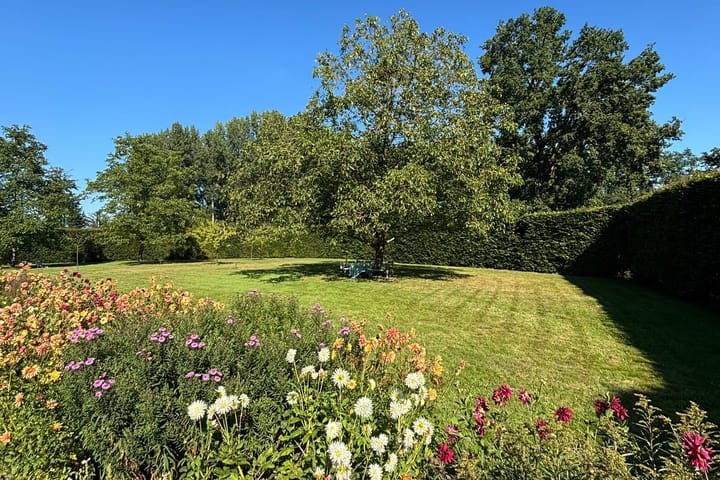 Foto 10 van Damlaan 6-B