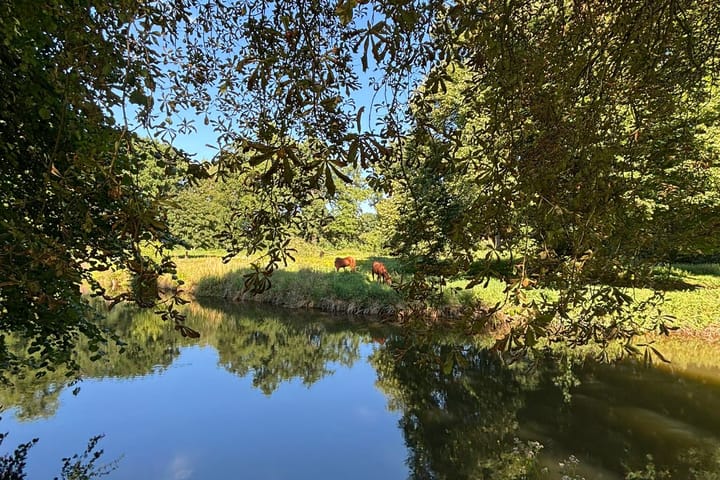 Foto 8 van Damlaan 6-B