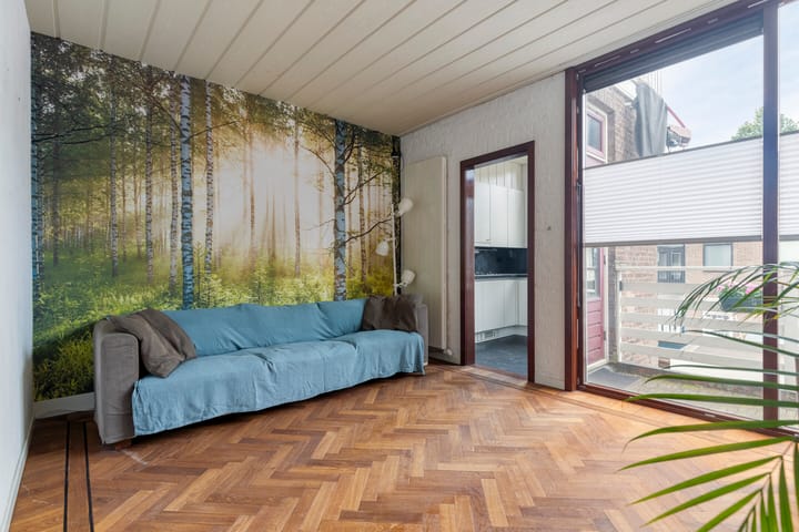 Foto 20 van Jan Steenstraat 17