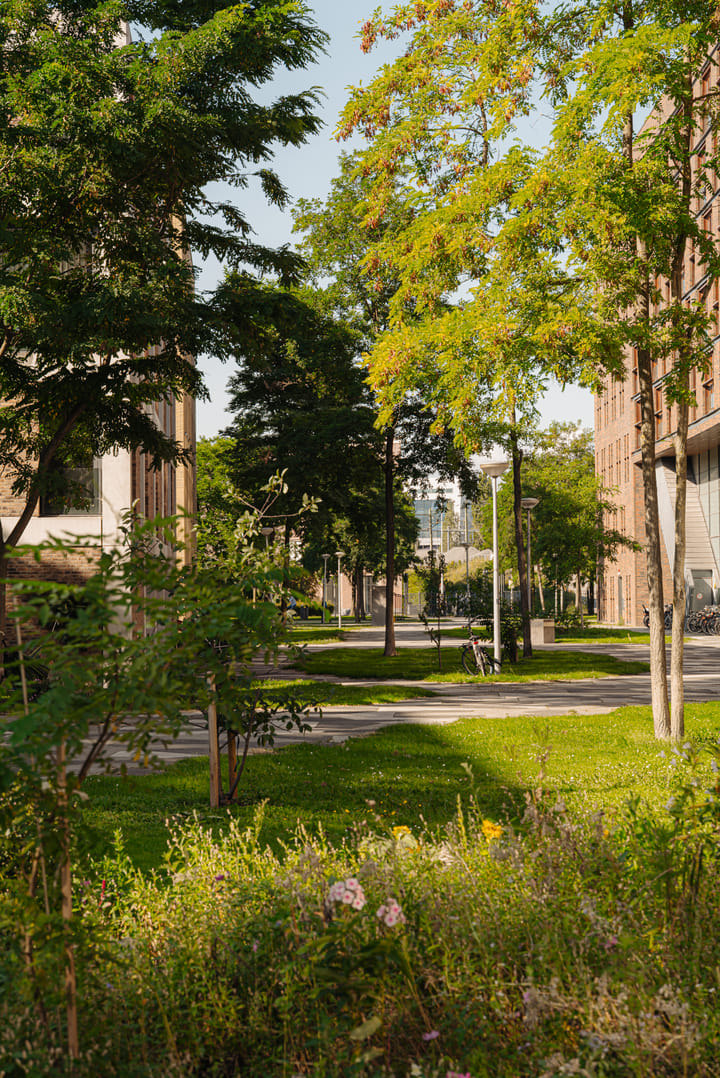 Foto 20 van Funenpark 97