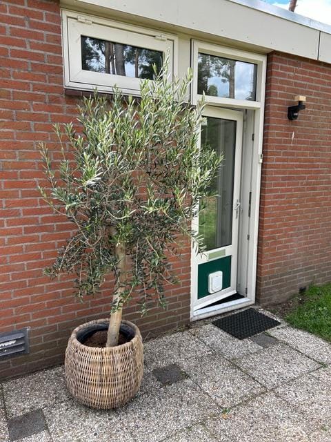 Photo 27 of Wijsterseweg 15-30