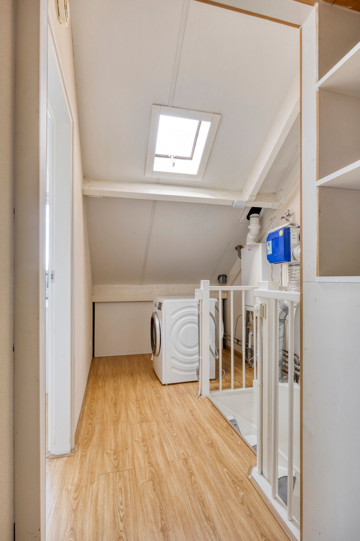 Foto 29 van Sam Gewissies 52