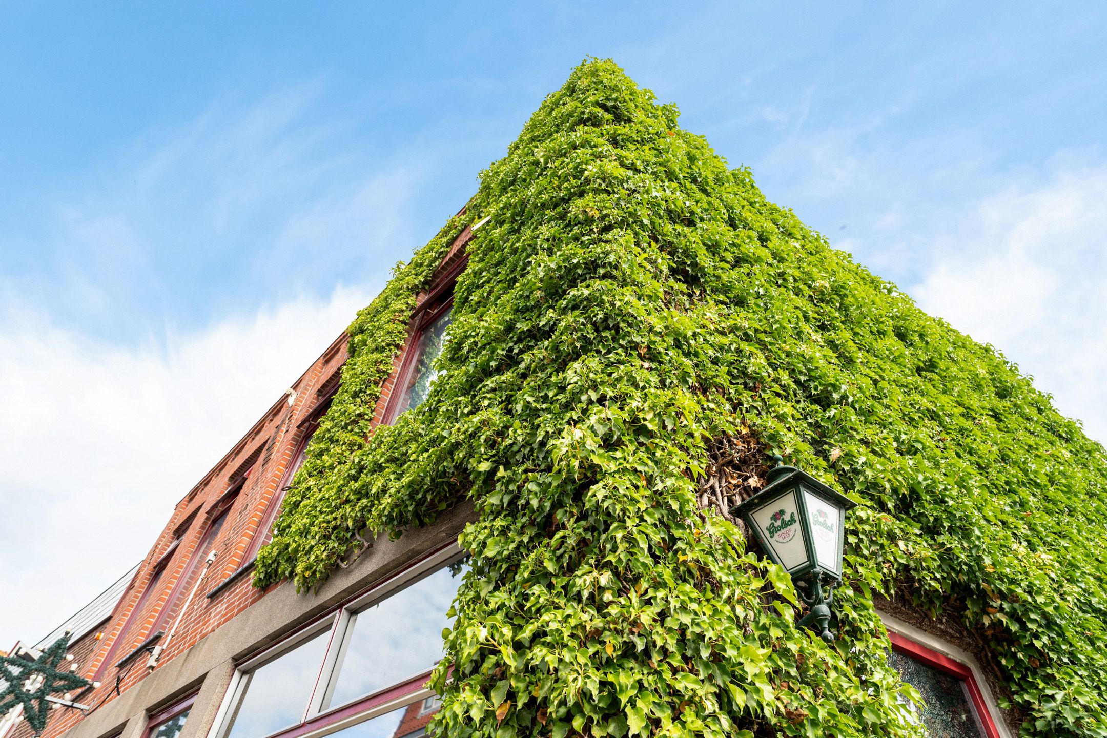 Foto 9 van Voorstraat 44