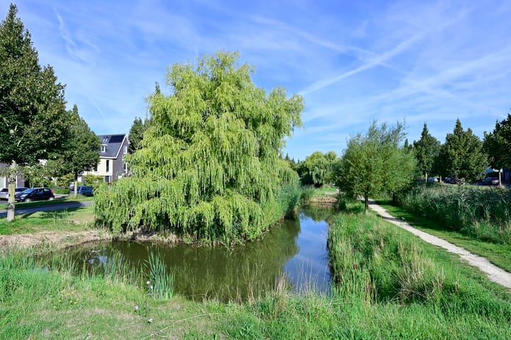 Foto 28 van Dijkgraaf 53