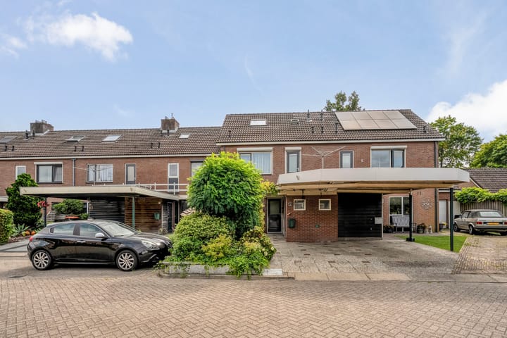 Foto 3 van Houtduif 19