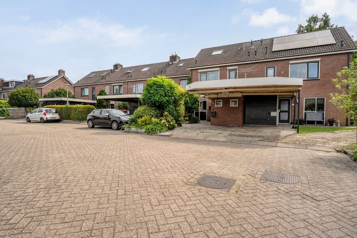 Foto 4 van Houtduif 19