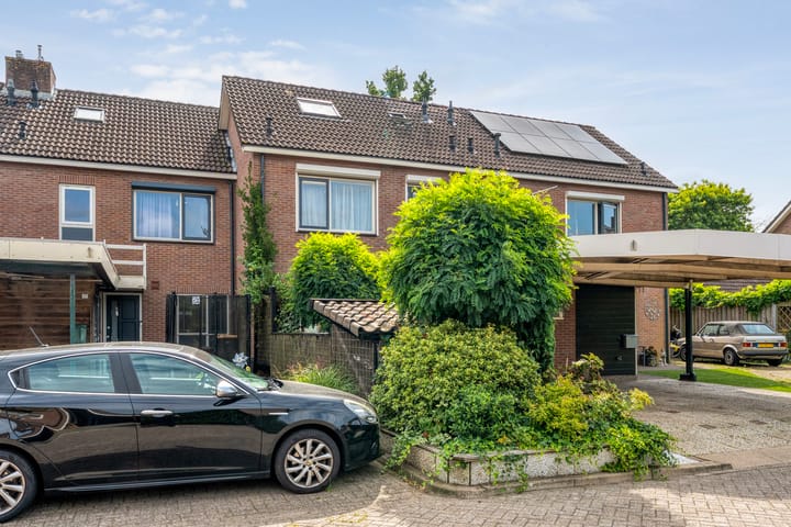 Foto 5 van Houtduif 19