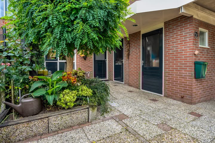 Foto 7 van Houtduif 19