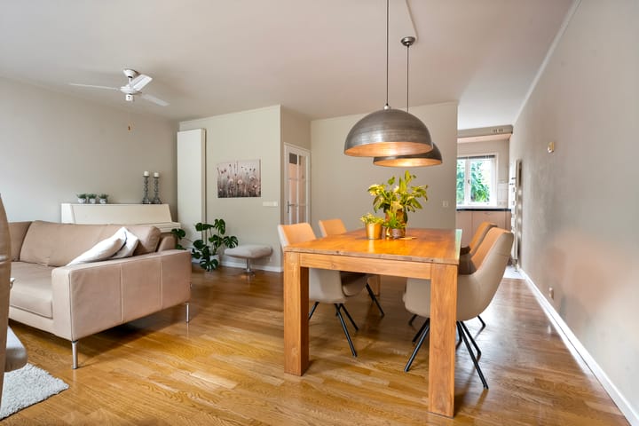 Foto 13 van Houtduif 19