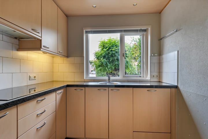 Foto 20 van Houtduif 19