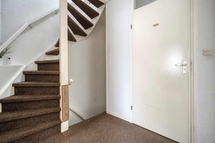 Foto 21 van Houtduif 19