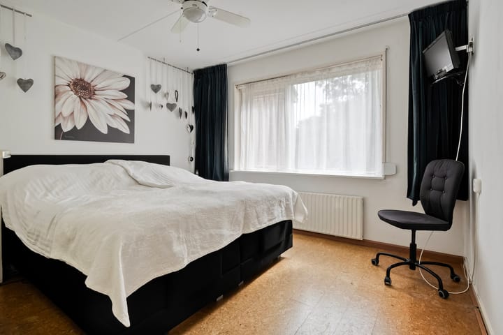 Foto 25 van Houtduif 19