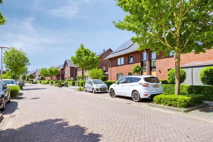 Photo 2 of Black Alicante 92