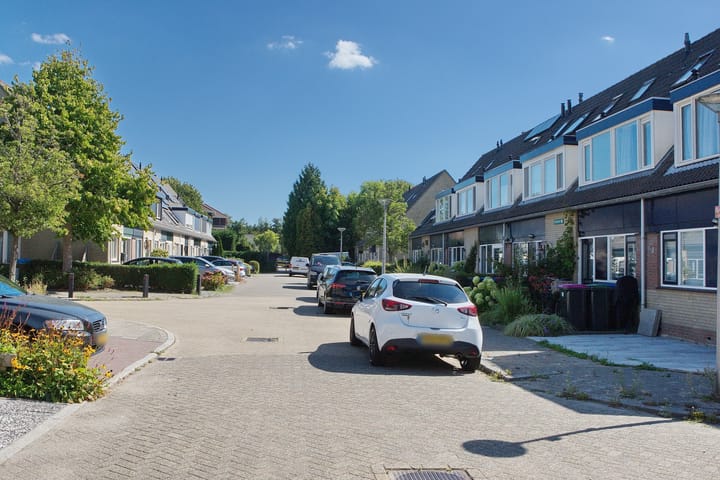 Foto 33 van Hondsdraf 55