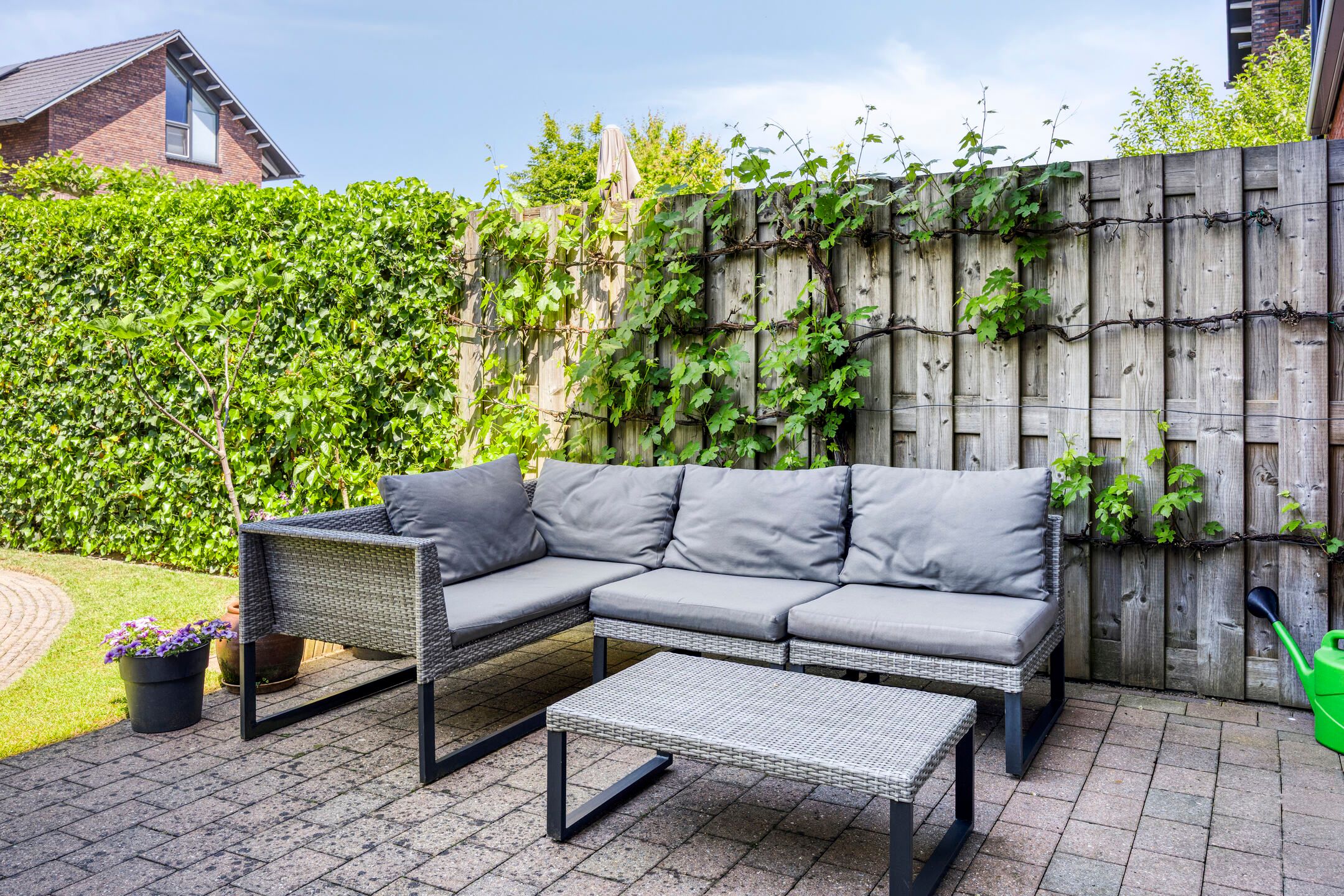 Foto 33 van Black Alicante 92