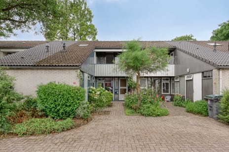 undefined main image