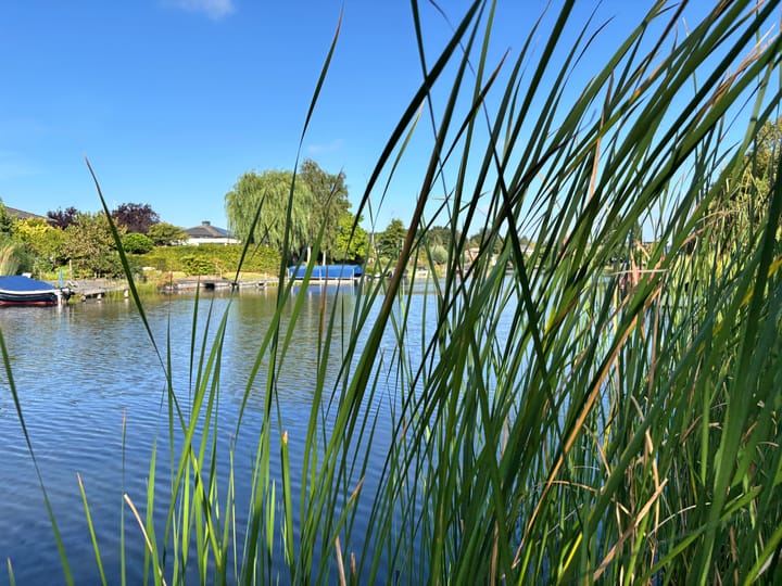 Foto 38 van Merwedelaan 5