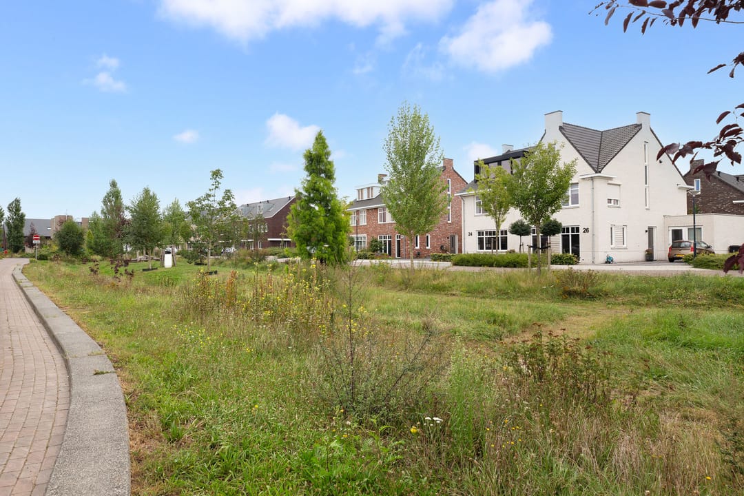 Foto 41 van Tongelaar 24