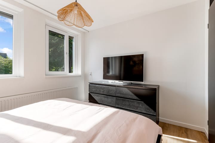 Foto 16 van Botter 41 29