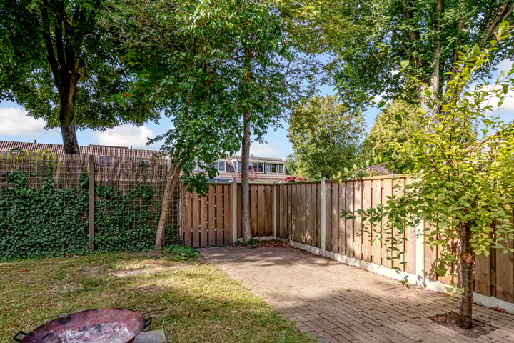 Foto 37 van Botter 41 29