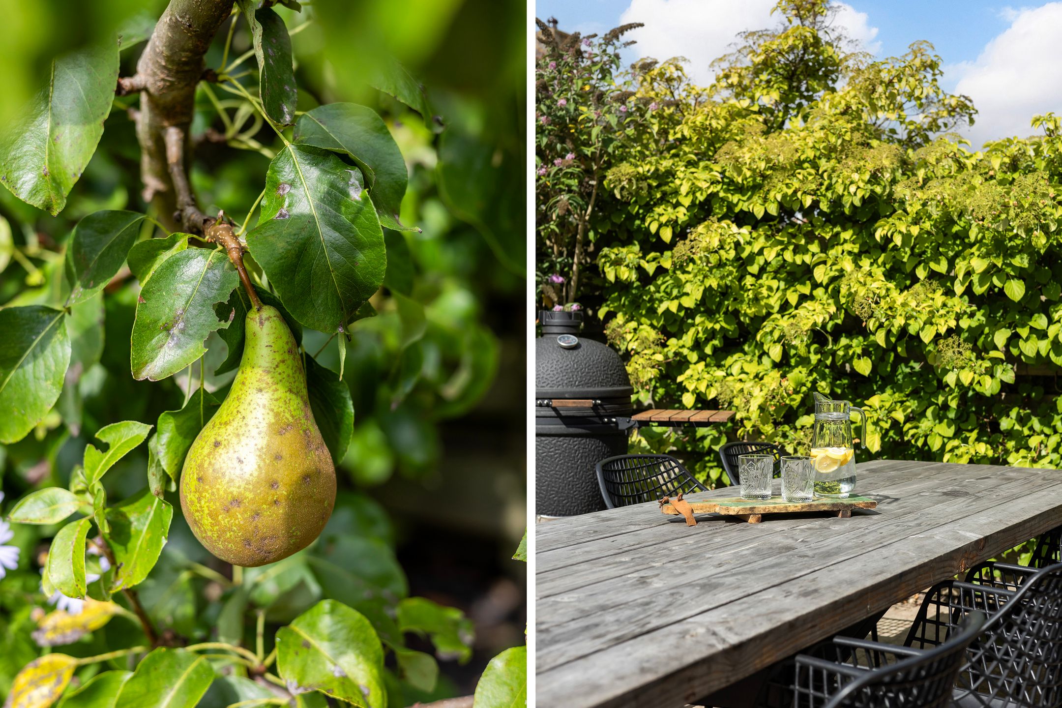 Photo 24 of Linebeamleane 16